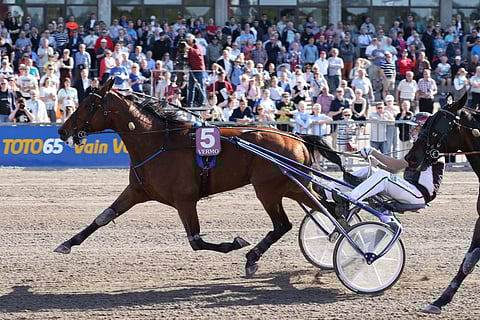 Victory Bonsai ponnisti Finlandia-raveissa kovan täyden matkan tuloksen 11,2, ja sillä ylittyi rima Oslo GP:n pääkisaan eli ravien "Valioliigaan".