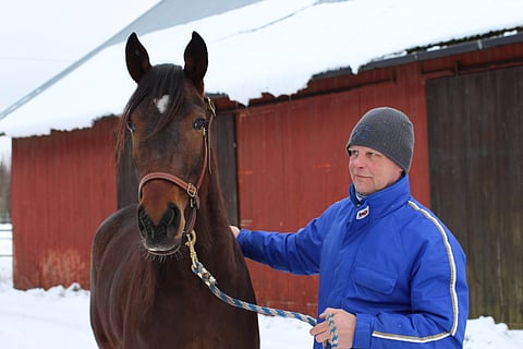 Pertti Isotalo ja Global Trigger Liedon tallin pihapiirissä talvella 2016.