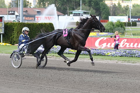 Tuore Elitloppet-voittaja nähdään ensi viikon sunnuntaina Oslossa.