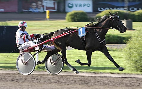 Sylvie De Vie on Seinäjoen T5-pelin varmin voittaja.