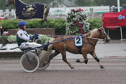 Ekslätts Sacrifice ja Pinja Iltanen ovat olleet voittamattomia vuonna 2016.