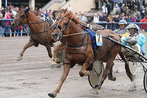 Kunkku piti Suivikkaan ja Camrin tiukasti takanaan.
