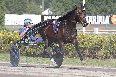 Avauskohteen suursuosikki Jonesy varmistetaan ideasysteemissä. Kuva: Anu Leppänen