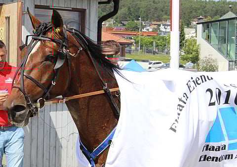 MAS Archie aloitti Bjerken sunnuntain suomalaisjuhlat.