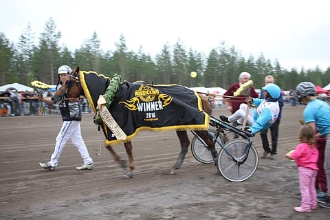 Valmentaja Antti Ojanperä ja ohjastaja Jorma Kontio tekivät Jokivarren Kunkun kanssa suomalaista ravihistoriaa.