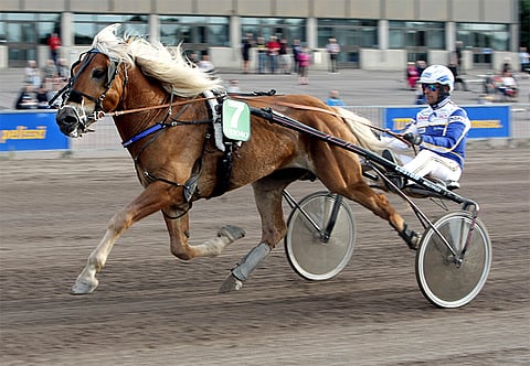 Särkän Kalle vei Sisusarjan ylivoimaisesti. Kuva: Pekka Salonen.