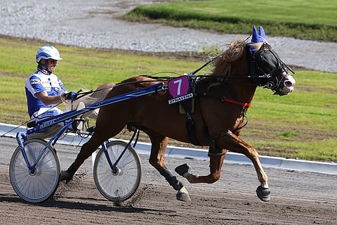 Pikkukahvelin toipuminen on edennyt hyvin, mutta starttiin se ei vielä päässyt.