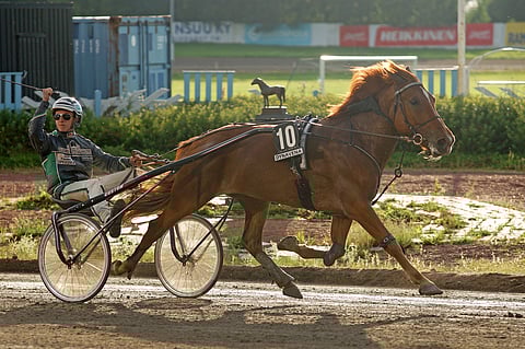 Ryti-Tytön ohjaksista löytyvä Jonny Länsimäki on kuningatarkilpailun ohjastajakuopus.