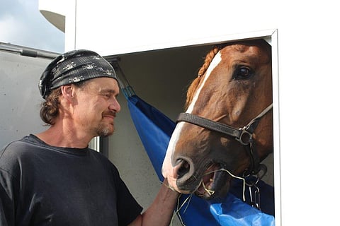 Kotimatkalle kohti Kotkaa lähti kaksi nälkäistä, Ville Korjukselle maistuisi voitto, Välähdys nautti ruokaansa hyvällä halulla.