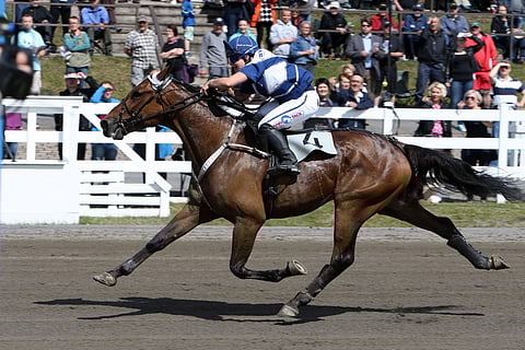 Harmi's Frido toi Nelly Korpikoskelle kolmannen monten Suomen mestaruuden.