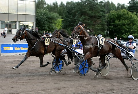 Nuoret lahjakkuudet Ratu Royale ja Olli Koivunen, 20, hallitsivat Kolmevuotistähteä. Pekka Korven Arctic Lover kiritti parhaiten.