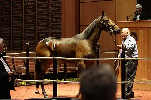 Lexingtonin varsahuutokauppa käynnistyy tiistaina 4. lokakuuta Kentuckyssa Yhdysvalloissa.