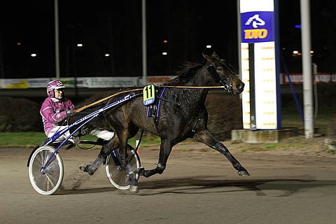 Miraz on hyvä ideahaku Jokimaan Toto4-peliin.