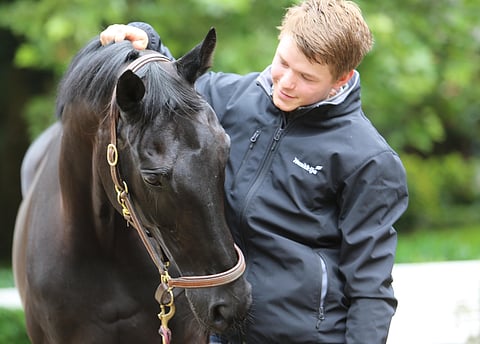 Mies ja hevonen tänään testissä. Tänään mitataan kuinka hyvin ovat onnistuneet sadat ja taas sadat Carola Koppelmannin, Petra Siebertin ja Emma Kanervan silmien alla vietetyt koulutreenitunnit.