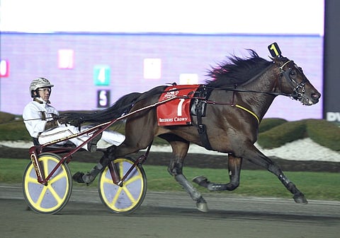 Muscle Hill on pääosissa tänään Meadowlandissa. Superoriin jälkeläiset voittivat molemmat kaksivuotiaiden suurkilpailu Hambletonian päivänä. Tässä mestari itse Briean Sears ohjastamana uransa päätösstartissa Mohawkin radalla Kanadassa.