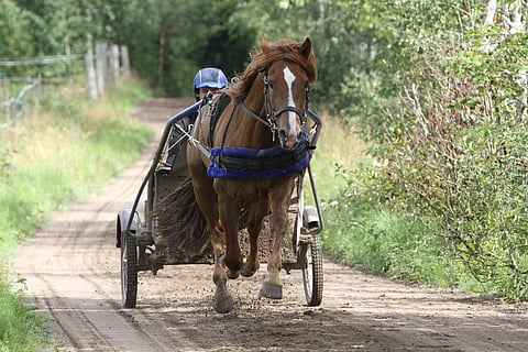 Välähdys vauhdissa treeneissä. Kuvat Harri Lind.