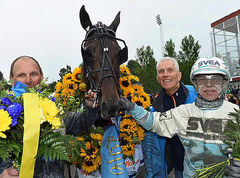 Reijo LIiljendahlin valmentama ja Örjan Kihlströmin ohjastama Policy Of Truth on yksi Ruotsin Kriteriumin suurimmista suosikeista.