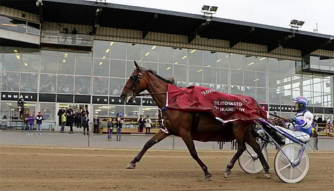 Twigs Voici voitti Forssassa Tammavaltikan.