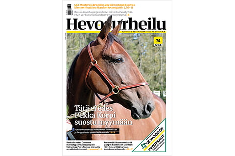 Korven silmäterä suosikkina Tammavaltikkaan