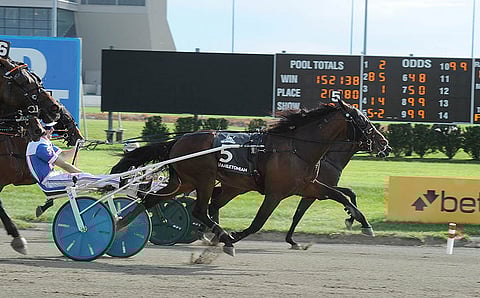 Marion Marauder tavoittelee sunnuntaina 9. lokakuuta Lexingtonin The Red Milella Kentucky Futurityn ja Triple Crownin voittoa.
