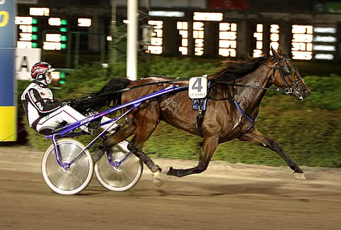 Elliot Boko ottaa Seinäjoella vuoden avausvoittonsa.