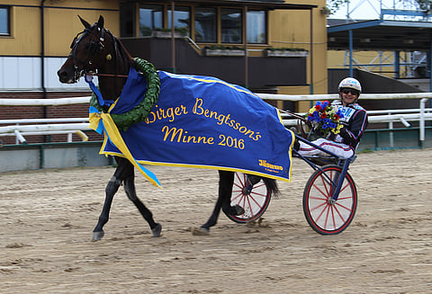 Reijo Liljendahlin valmentaman ja Ulf Ohlssonin ohjastaman Nadal Brolinen omistaa suomalainen Onkel Invest Oy.