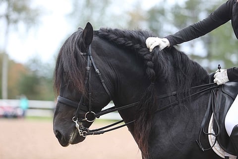 Tämän paremmin ei voi kisa  ainakaan alkaa. Mutta huomennakin on vielä tsempattava ja vielä musiikin tahdissa.