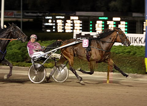 Antti Teivainen on Pesco Velvetin vakikuski.