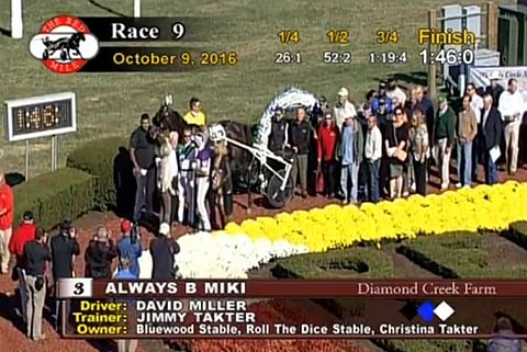 Always B Mikin historiallista juoksua juhlittiin sunnuntaina The Red Milella. 5-vuotias ME-peitsari on kilpaillut 50 kertaa totosijoin 27-13-3 ja ansainnut lähes 2,3 miljoonaa dollaria.