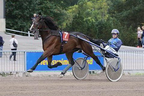 William Pine on yksi päälähdön suosikeista.