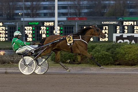 Nefertiti Frido on voittanut jokaisen uransa neljästä kilpailusta.