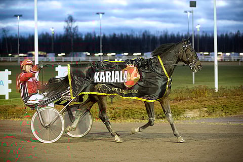 Janne Sorosen ajama Elian Web voitti St. Legerin.