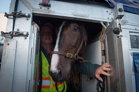 Jonesy tarkkailee Amerikan mannerta lentokuljetuskontistaan käsin.
