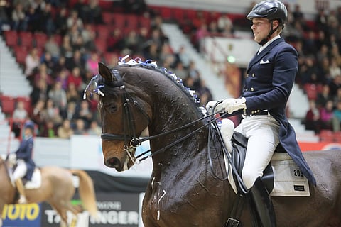 Henri Ruoste tuo Ainoon kokeneen ja suomalaisille ennestään jo tutun Roblen.