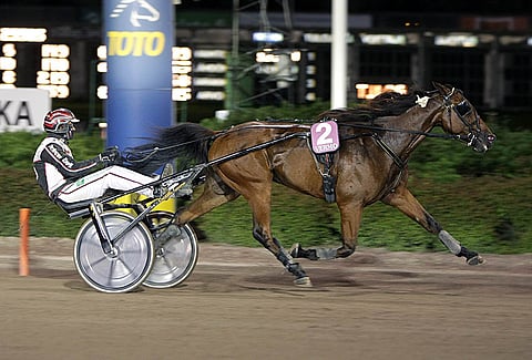 Knox Hanover kilpailee Hampurissa 11.000 euron ykköspalkinnosta.