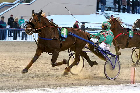 Sheikki pystyy Toto65-voittoon.