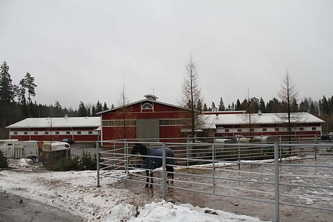 Ypäjän Hevosopistolla on ilmennyt pitkään jatkuneita työhyvinvointiongelmia. Nyt omistajaohjausta tehostetaan. 