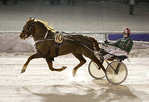 Ekin Toive esitti tykkikirin Vermossa.