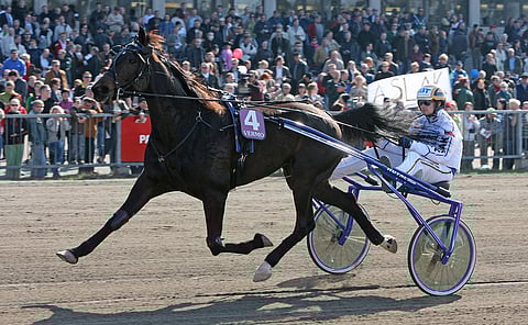 Aslak ja Petteri Joki. Kuva Juhani Länsiluoto.
