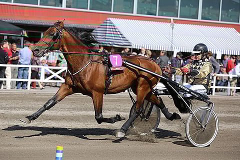 Erkki Kujansuun Feast Your Eyes on Kouvolassa mielenkiintoinen pelikohde.