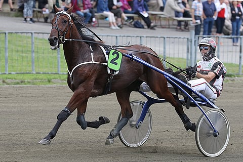 Easy Ride on rahasarjoihin pääsevä menijä. Kolmevuotias aloittaa Jokimaalla Juho Ihamuotilan valmennuksesta käsin.