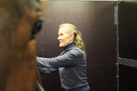 Tuula Pursiainen ei koskaan varsinaisesti suunnitellut ryhtyvänsä hieromaan hevosia ammatikseen, vaan pikemminkin ajautui alalle ja jäi sille tielle.