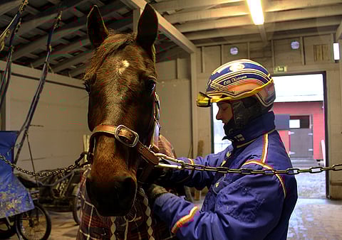 Hevosurheilu tapasi Ypäjä Hereiamin ja Olli Koivusen Metsämäessä. Artikkeli Ypäjä Hereiamistä julkaistaan Hevosurheilussa keskiviikkona 18. tammikuuta.