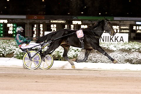 April Sisu on on toinen avauskohteen ideahevosista.