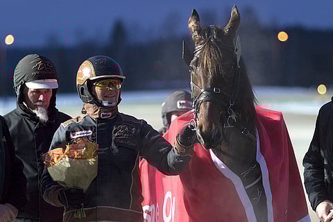 Hannu ja Riitta Nylund New Grove Safirin kanssa voittajaseremonioissa.