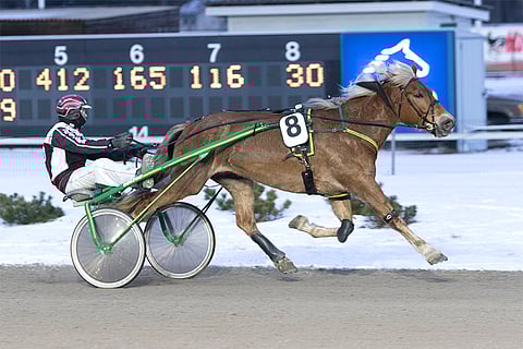 Vieskerin Virva oli ylivoimainen Turussa.