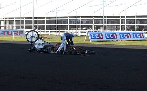 Blue Bubble Blue lyyhistyi Vincennesin radalle noin 100 metriä ennen maalia.