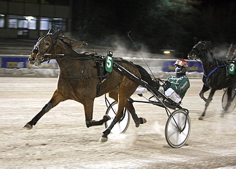Dreambow juoksee Vermossa sekä tänään että ensi viikon keskiviikkona. Arkistokuvassa ohjissa on Hannu Torvinen, nyt ruunan vakiokuski on Henri Bollström.