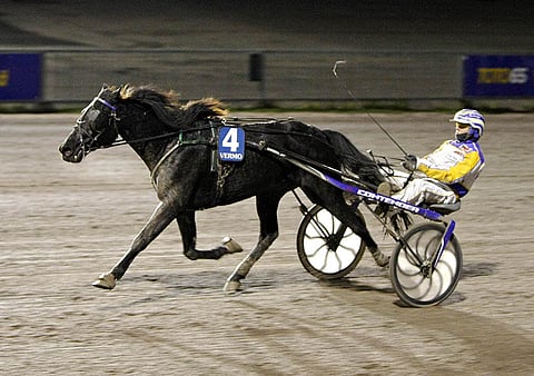 Selästä tulisesti spurttaava Stratus K.A. pyrkii yllättämään suosikki Luxorious Lordin Toto65-pelin neljännessä kohteessa. Kuva: Pekka Salonen