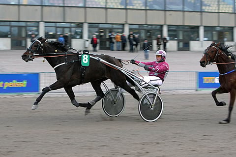 Bosses Lily ehti Antti Teivaisen kannustama helposti ensimmäiseksi.